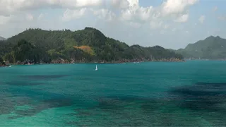 The Best Job in the World?