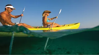 Deep Snaps: Tips for Taking Better Underwater Photos
