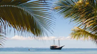 Yachts for Science: Can You Make a Difference?