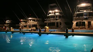 Strange Attraction: Underwater Lights and the Environment