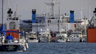 Piggyback Crossing Duties