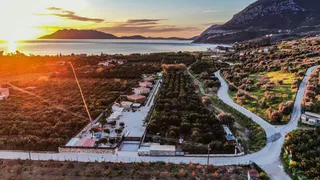 Former Chief Stewardess Creates Eco Retreat in Greece