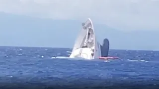 M/Y My Saga sinks