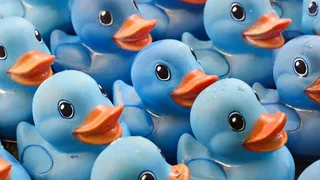 Blue Ducks to Host Charity Gala and Auction in Support of ISWAN