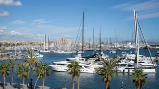 Best Crew Recruitment Agencies in Palma