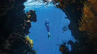 How to Prep for Dives as a Yacht Officer and HODs